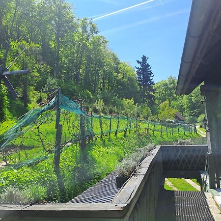 Das Altsteirische Landhaus - La Maison De Pronegg - Feriendomizil Im Biosphaerenpark Wienerwald Пресбаум Экстерьер фото