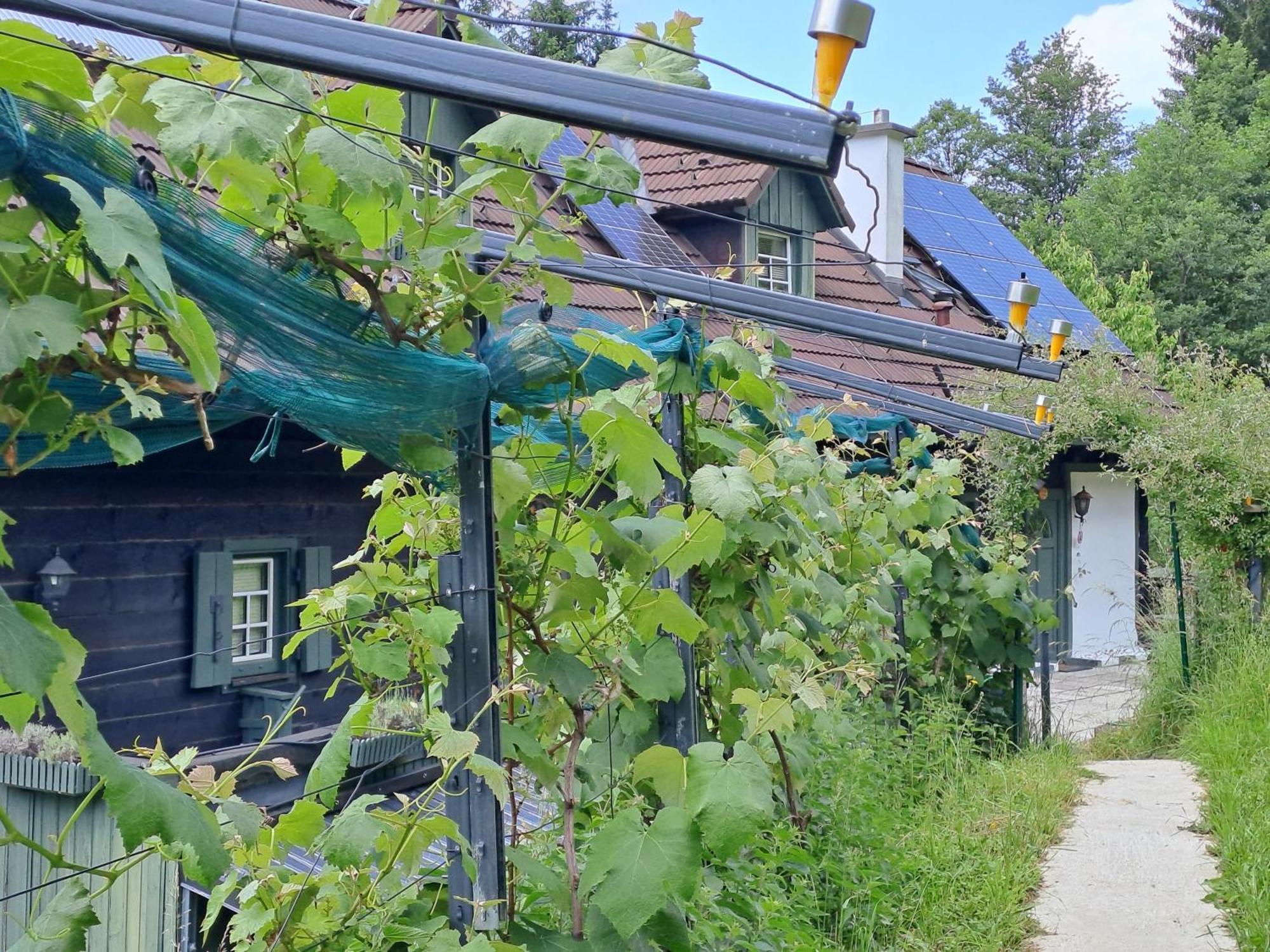 Das Altsteirische Landhaus - La Maison De Pronegg - Feriendomizil Im Biosphaerenpark Wienerwald Пресбаум Экстерьер фото