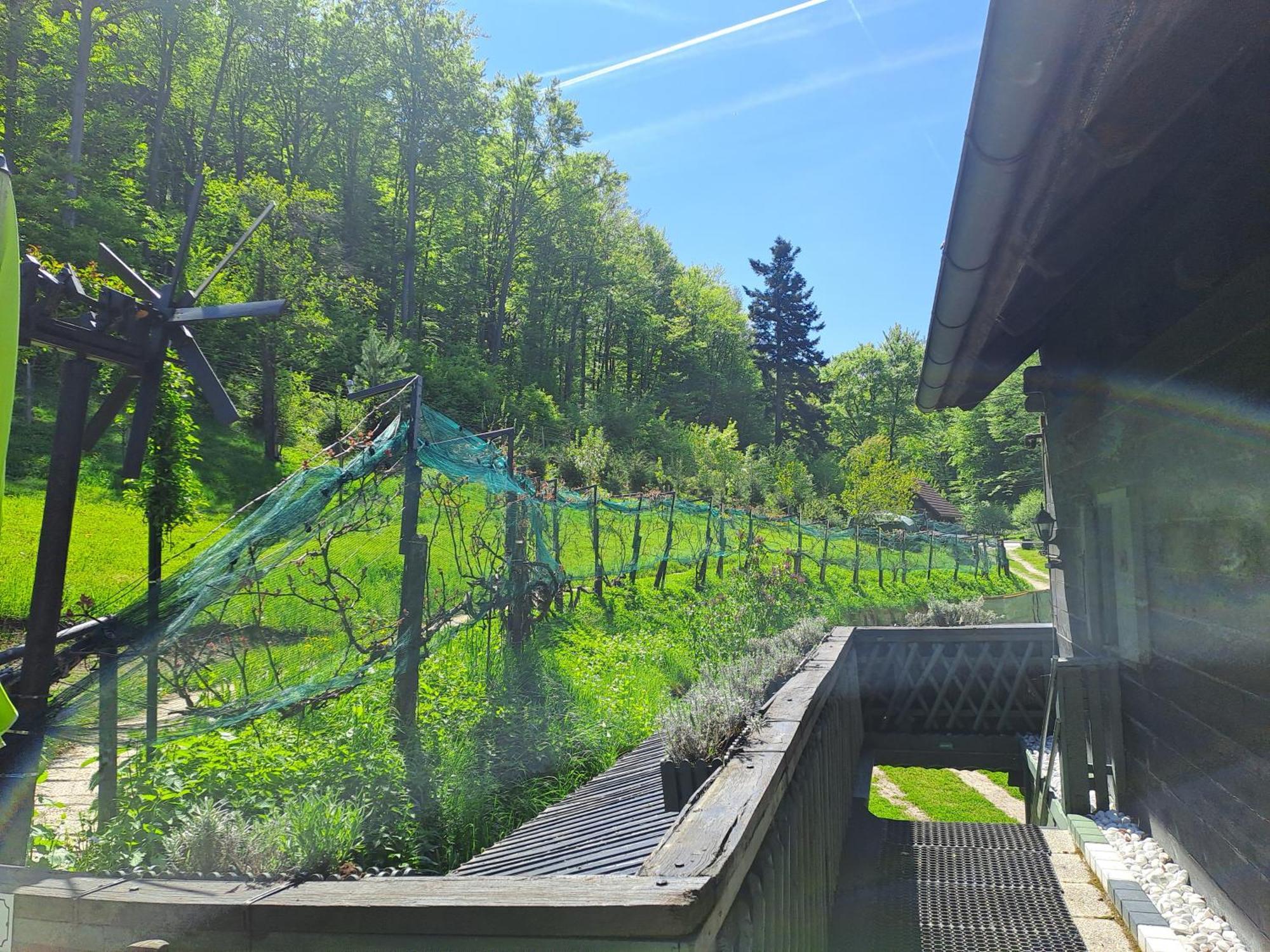 Das Altsteirische Landhaus - La Maison De Pronegg - Feriendomizil Im Biosphaerenpark Wienerwald Пресбаум Экстерьер фото